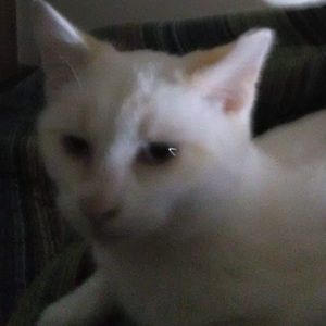 Meet your Posher, Lesa